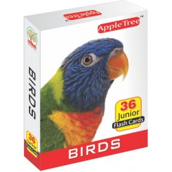 Birds-Junior Flash Cards